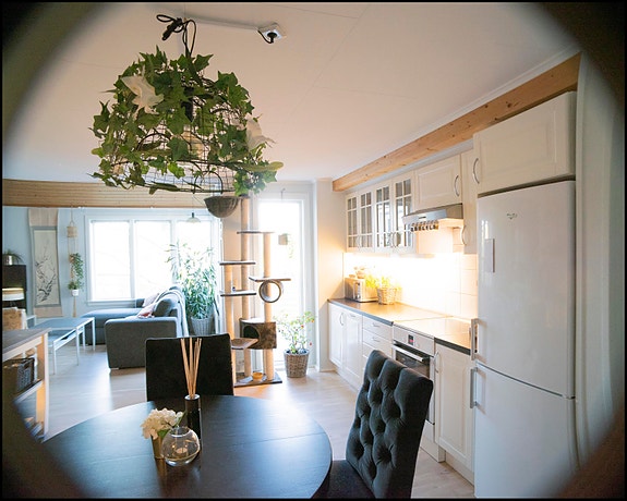 LEKKER NYOPPUSSET LEILIGHET PÅ LJAN, BYDEL NORDSTRAND, utleie fra 1.9.2026, Oslo