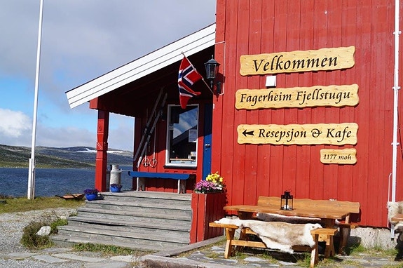 Bilde 1 av 16 i jobbannonse-galleriet