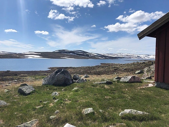 Bilde 6 av 16 i jobbannonse-galleriet
