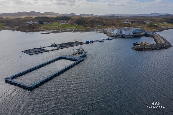 Bilde 4 av 4 i jobbannonse-galleriet