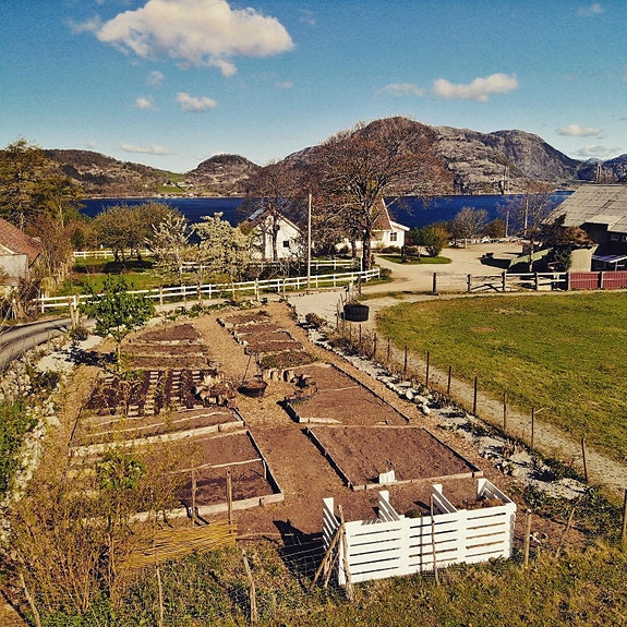 Grønnsakshagen