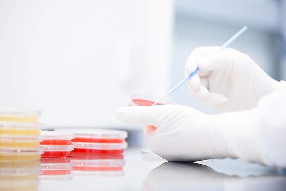 Bilde 3 av 4 i jobbannonse-galleriet