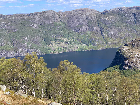 Utsikt mot Ørdalsvatnet