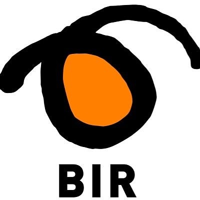 BIR AS logo