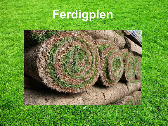 Ferdigplen Oslo