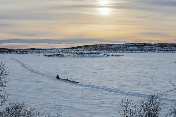 Foto: Steinar_Vik