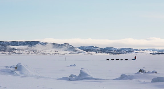 Foto: Therese Andersen