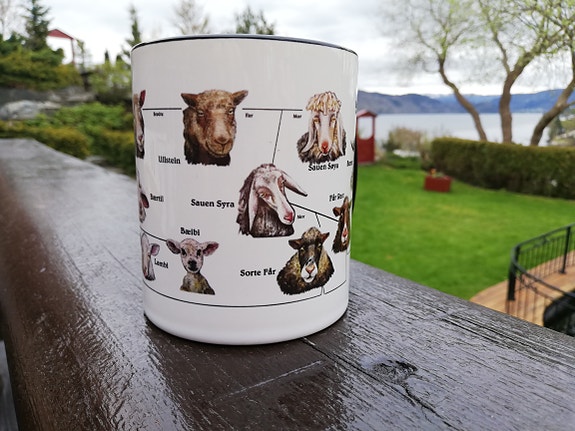 Product image 4 of 10
