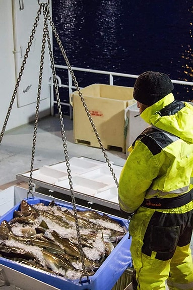Bilde 3 av 4 i jobbannonse-galleriet