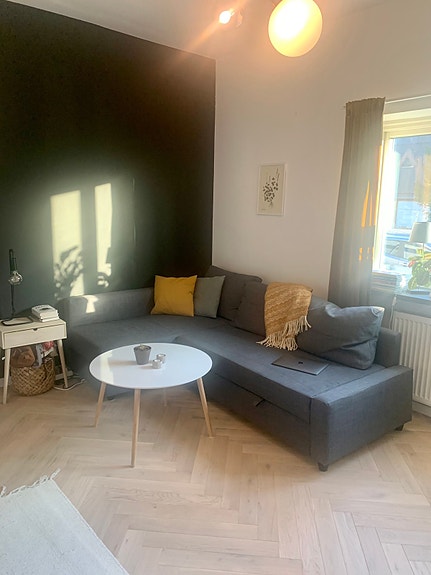 Hyggelig sofahjørne med pen fiskebensparkett. Helt ny sovesofa følger med. God takhøyde på 2,8 meter.