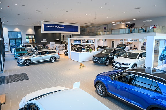 Bilde 2 av 5 i jobbannonse-galleriet