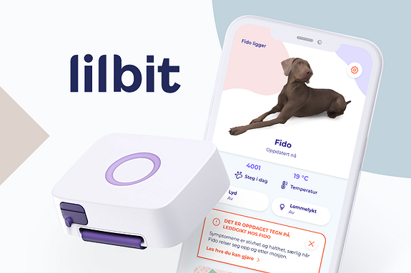 Bilde 1 av 4 i jobbannonse-galleriet