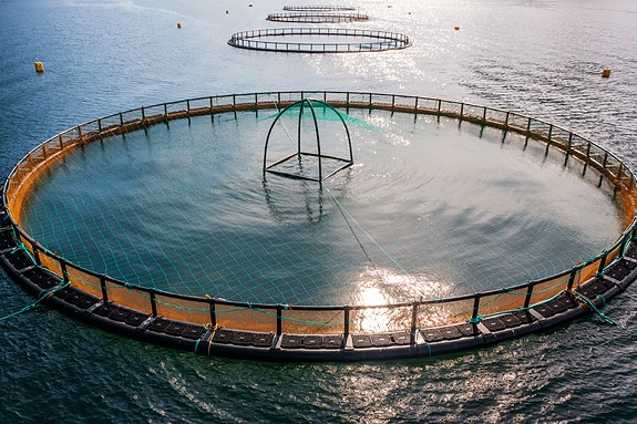 Bilde 2 av 2 i jobbannonse-galleriet