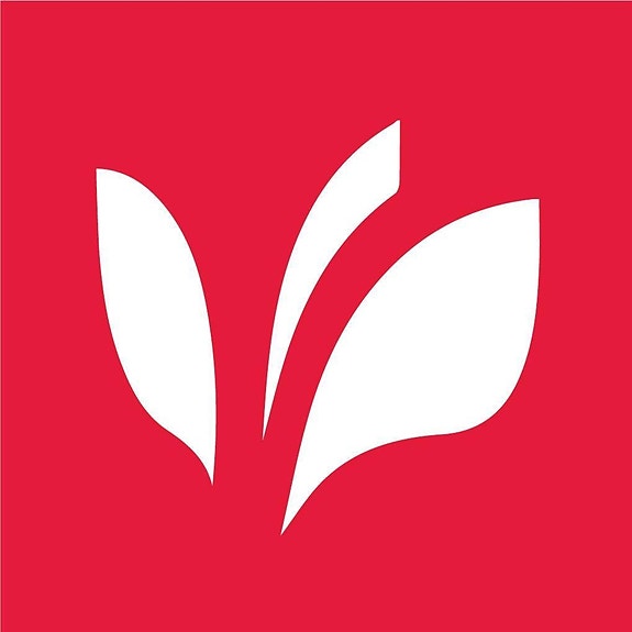 Det Norske Bibelselskap logo