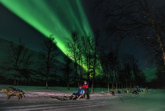 Dogsledding