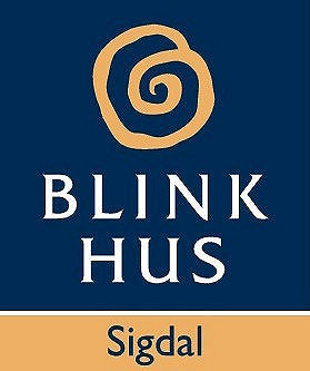 Blink Hus Sigdal AS