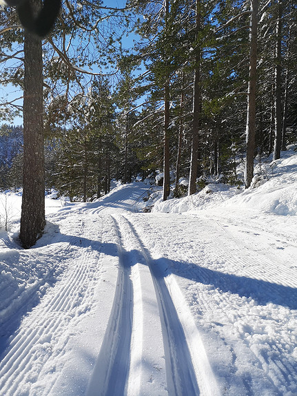 Om vinteren er det gode snøforhold.