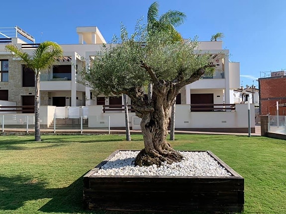 En megler med gode referanser -  SPANIA1.no