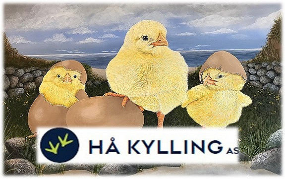 Hå Kylling AS logo