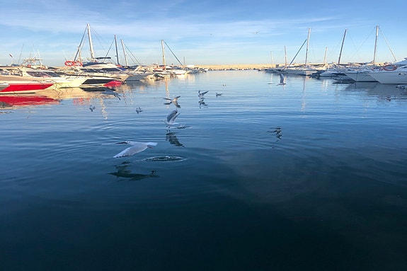 BÅTHAVNEN I FUENGIROLA 2021