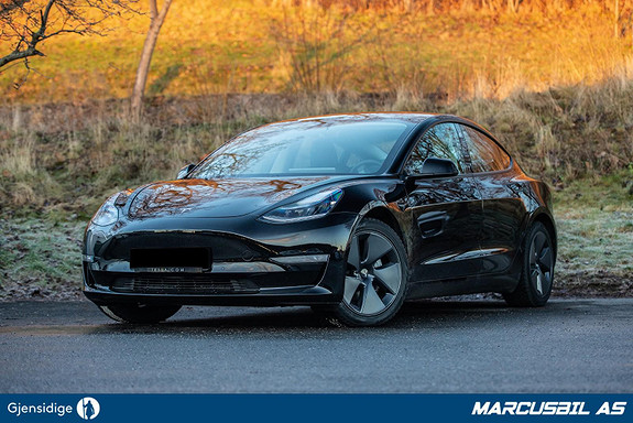 Tesla Model 3 LR AWD AP/H.FESTE/VARMEPUMPE/S+ V 2020, 1 500 km, kr 515 000,-