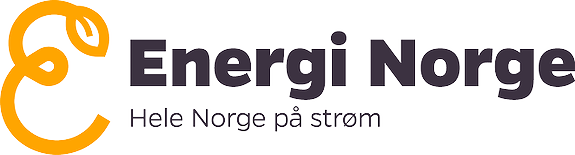 Energi Norge logo