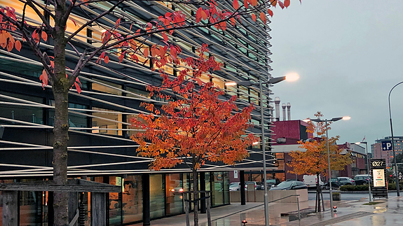 Bilde 2 av 4 i jobbannonse-galleriet