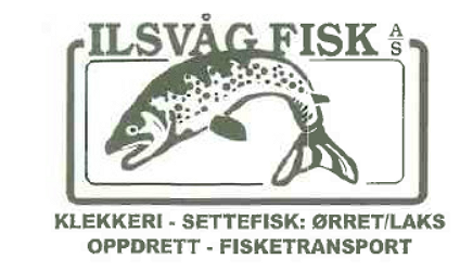 Ilsvåg Holding As