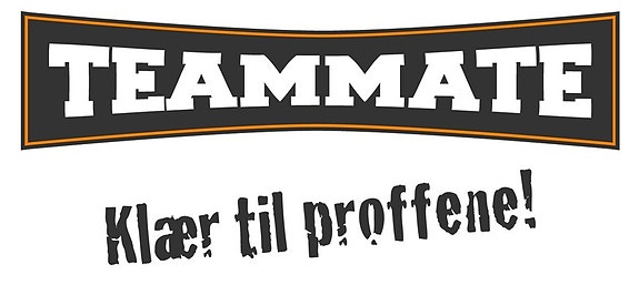 Bilde 2 av 7 i jobbannonse-galleriet