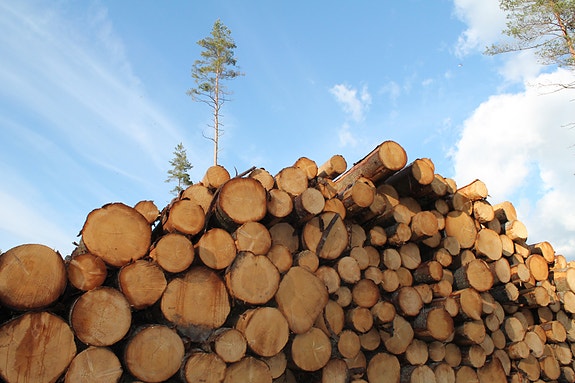 Bilde 2 av 4 i jobbannonse-galleriet