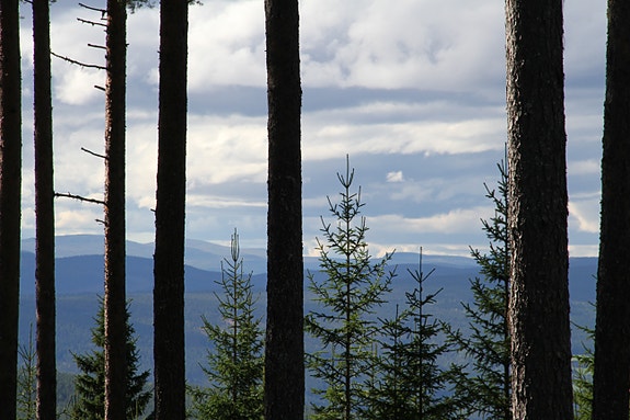 Bilde 4 av 4 i jobbannonse-galleriet