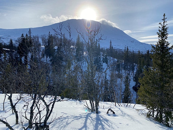 Gaustatoppen sett fra tomteområdet