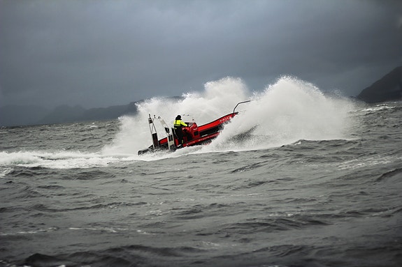 Bilde 1 av 3 i jobbannonse-galleriet