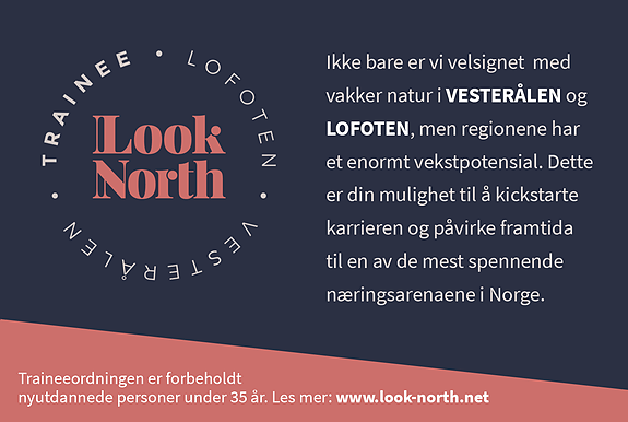 Bilde 7 av 7 i jobbannonse-galleriet