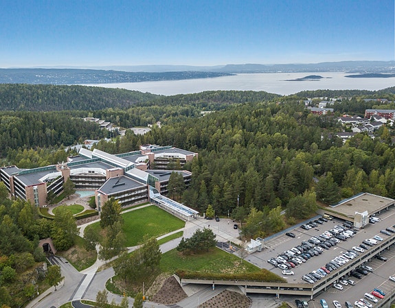 Bilde 3 av 3 i jobbannonse-galleriet