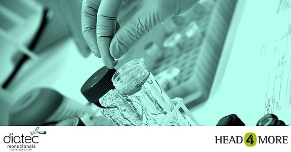 Bilde 2 av 3 i jobbannonse-galleriet