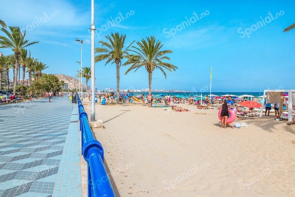 En megler med gode referanser -  SPANIA1.no