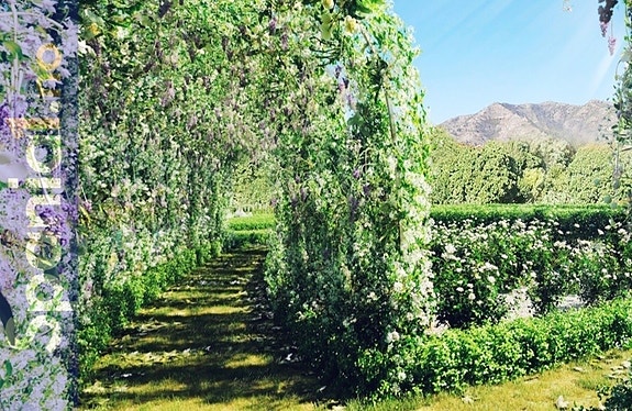 BOTANISK HAGE - FELLESOMRÅDE