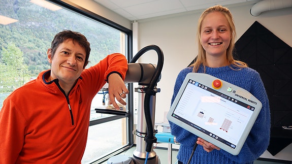 Bilde 6 av 12 i jobbannonse-galleriet