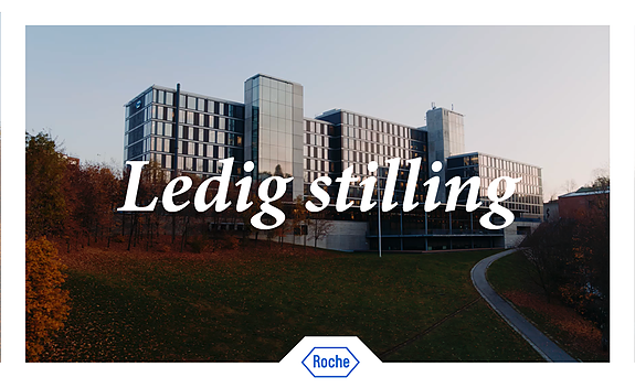 Bilde 1 av 3 i jobbannonse-galleriet