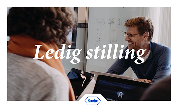 Bilde 2 av 3 i jobbannonse-galleriet