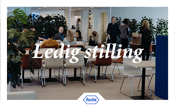 Bilde 3 av 3 i jobbannonse-galleriet