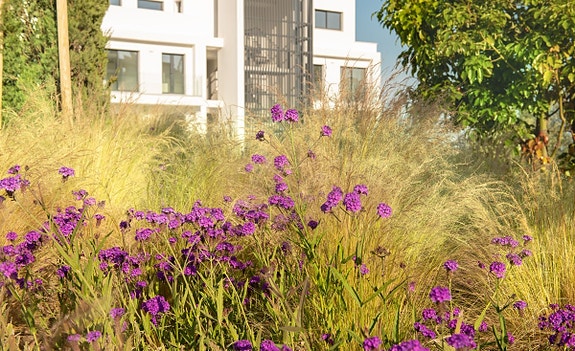 En megler med gode referanser - SPANIA1.no