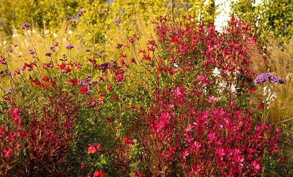 En megler med gode referanser - SPANIA1.no