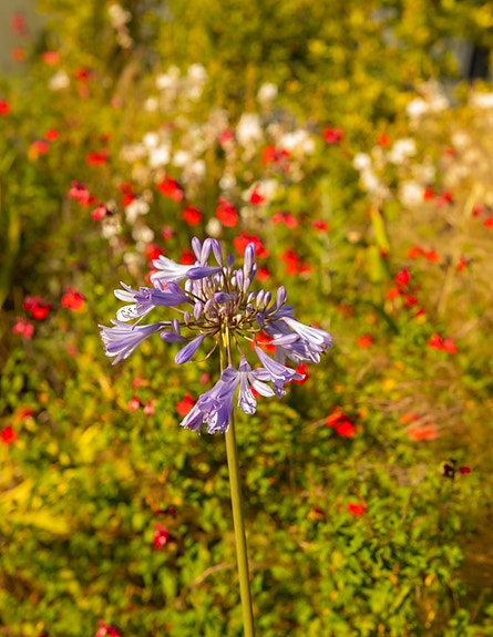 En megler med gode referanser - SPANIA1.no