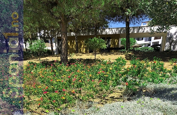 Felles grønne område