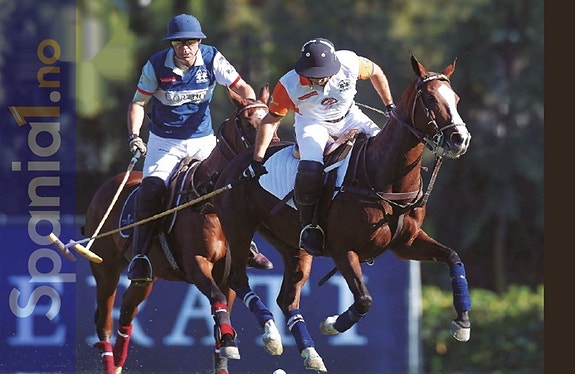 Sotogrande Polo Valley