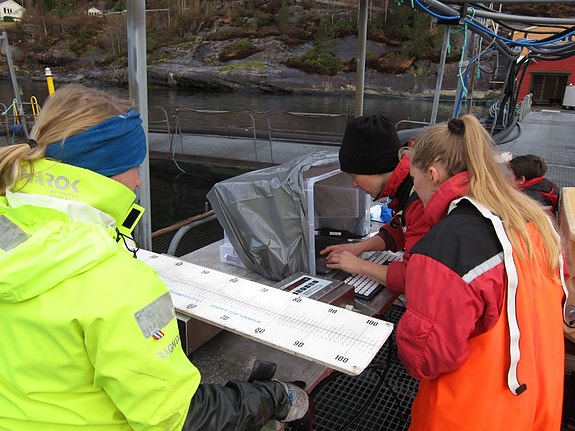 Bilde 13 av 22 i jobbannonse-galleriet