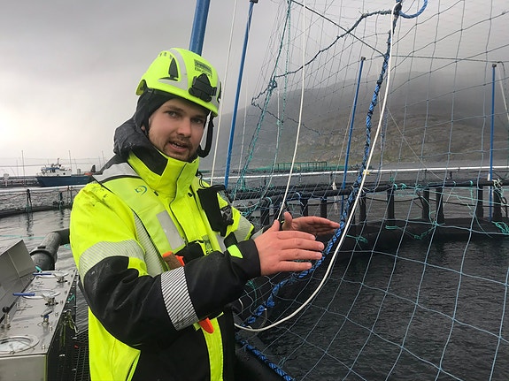 Bilde 12 av 22 i jobbannonse-galleriet