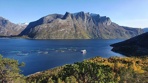 Bilde 10 av 22 i jobbannonse-galleriet